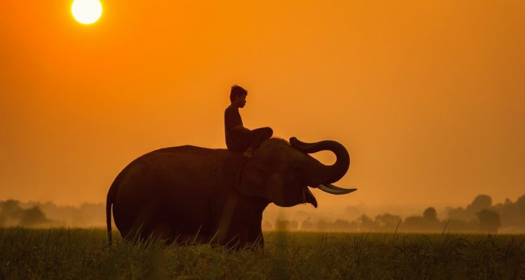 Tanzania tours (23)
