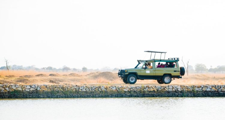 Tanzania tours (6)