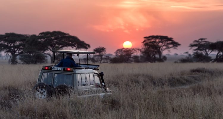 Best Luxury Tanzania Tours