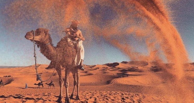 morocco desert travel (10)