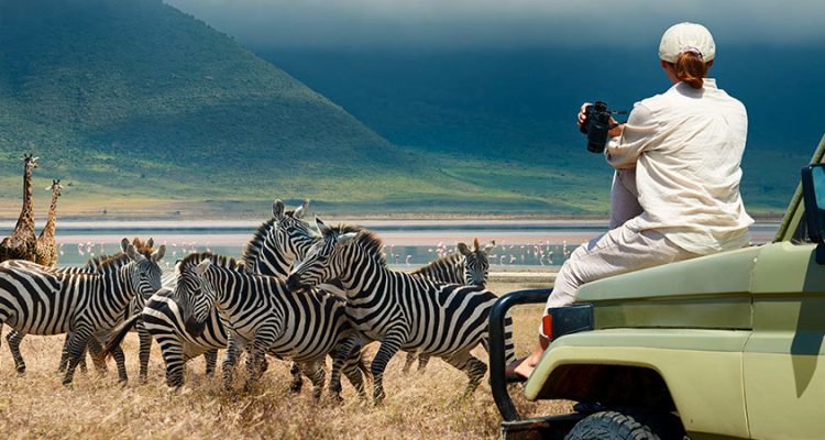 safari tanzania tours (1)