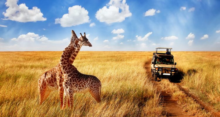 Serengeti Safari Tanzania Tours