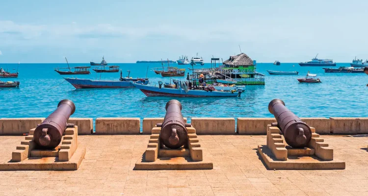 safari tanzania tours (11)