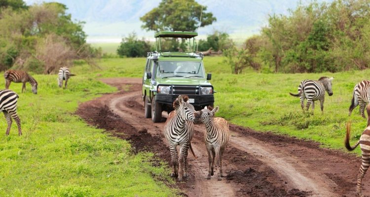 Tanzania by Luxury Tours Agency