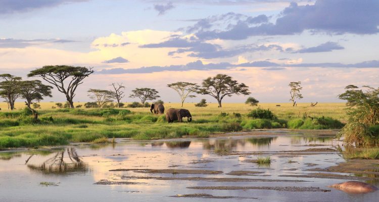 safari tanzania tours (8)