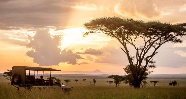 safari tanzania tours (9)