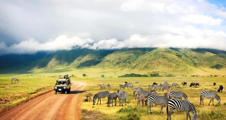 Wild,Nature,Of,Africa.,Zebras,Against,Mountains,And,Clouds.,Safari